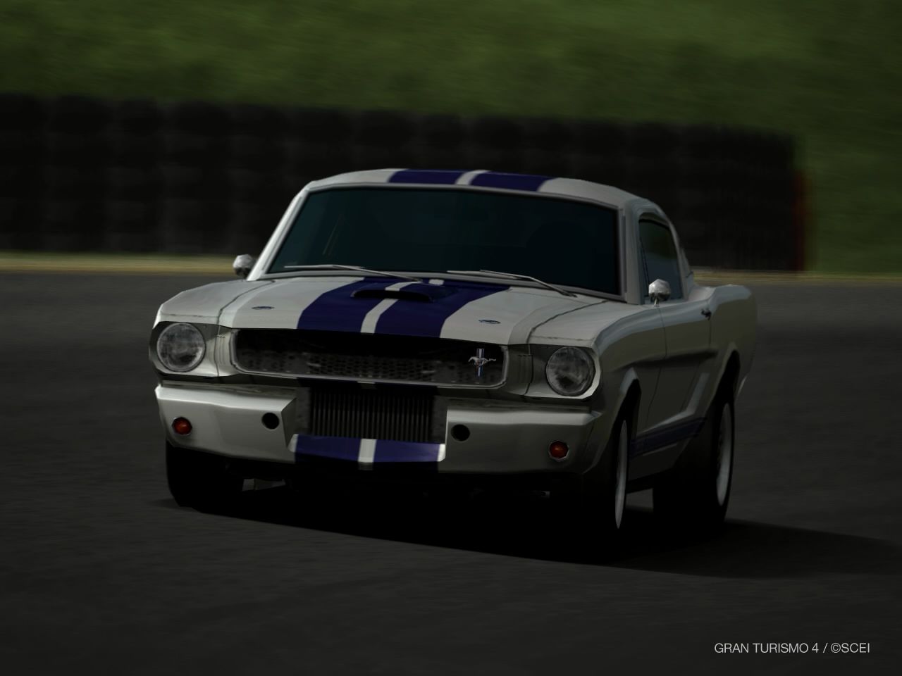 IMG0013.jpg