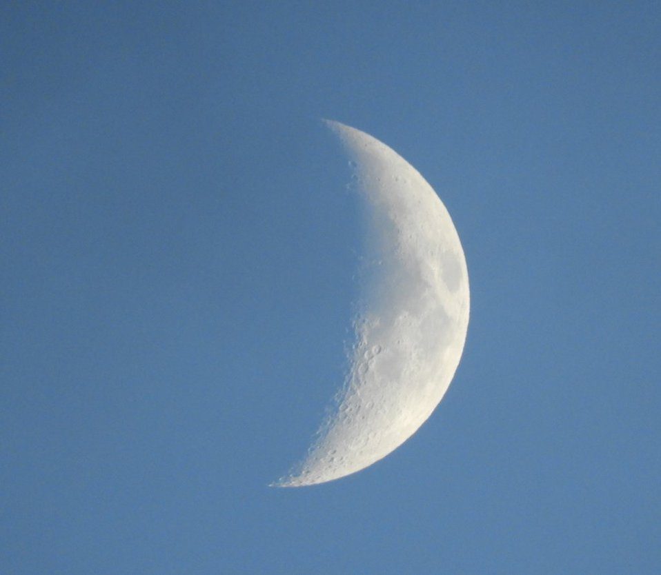 luna_by_unitoone-daqr4jl.jpg