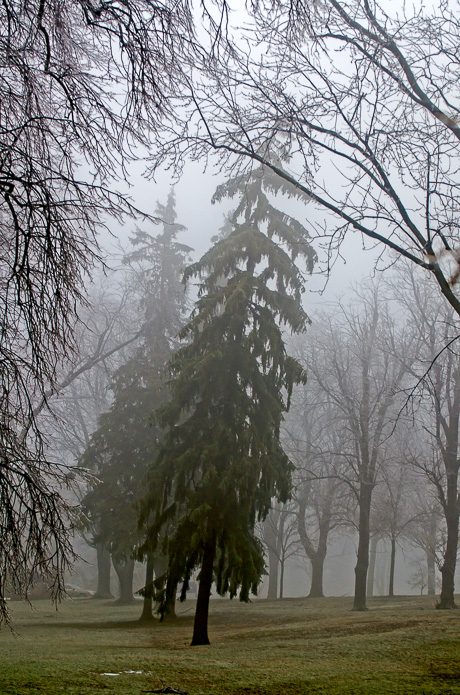 morningweatherdec22_2013-8.jpg