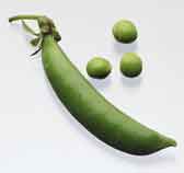 peas_lg.jpg