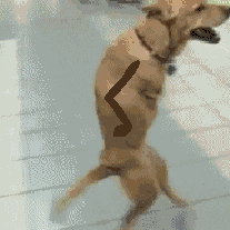 Efq6mI4.gif