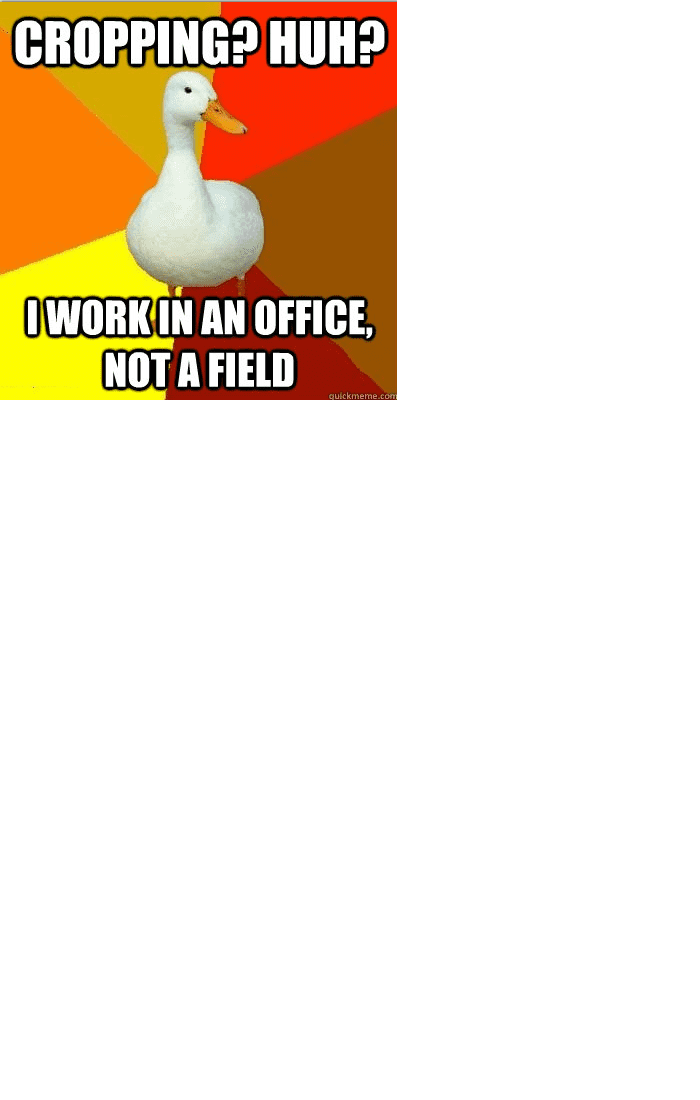 7sXAS.png