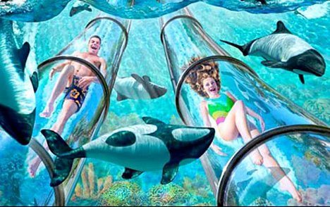 aquatica1WEB_428x269._to_468x312jpg