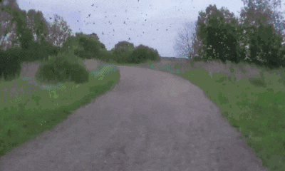 05.gif