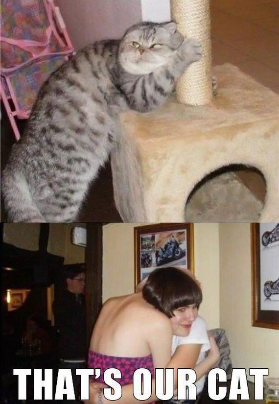 81-funny-pictures-304.jpg