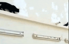 7102_28ce.gif