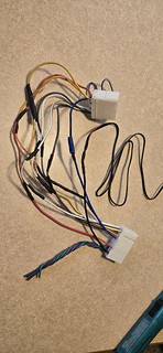 55366386643_8dbf615699_n.jpg