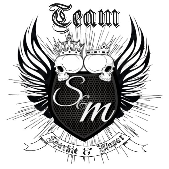 PITS-Team-Logo-2.jpg