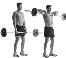 upright-rows.gif