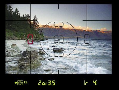 d70s_viewfinder.jpg