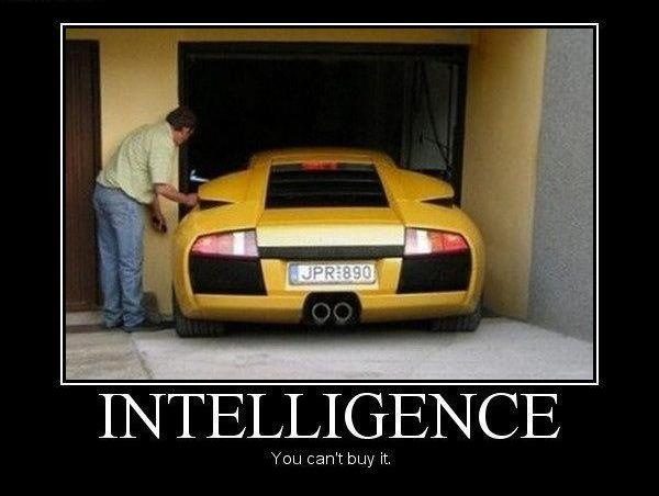 Intelligence.jpg