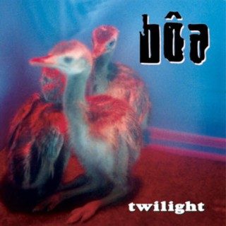 Boa_Twilight.jpg