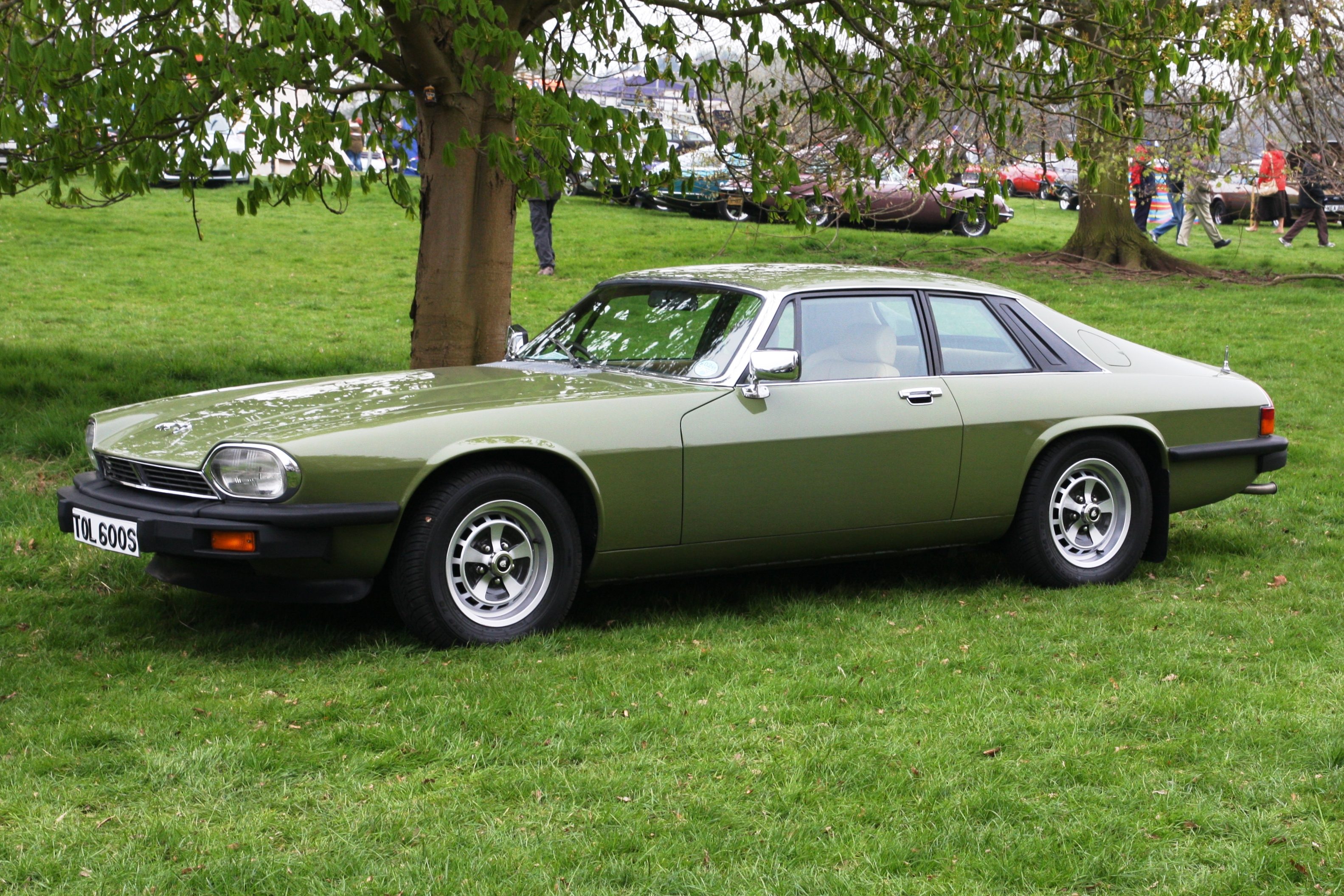 Jaguar_XJS_registered_January_1978_5343cc.JPG