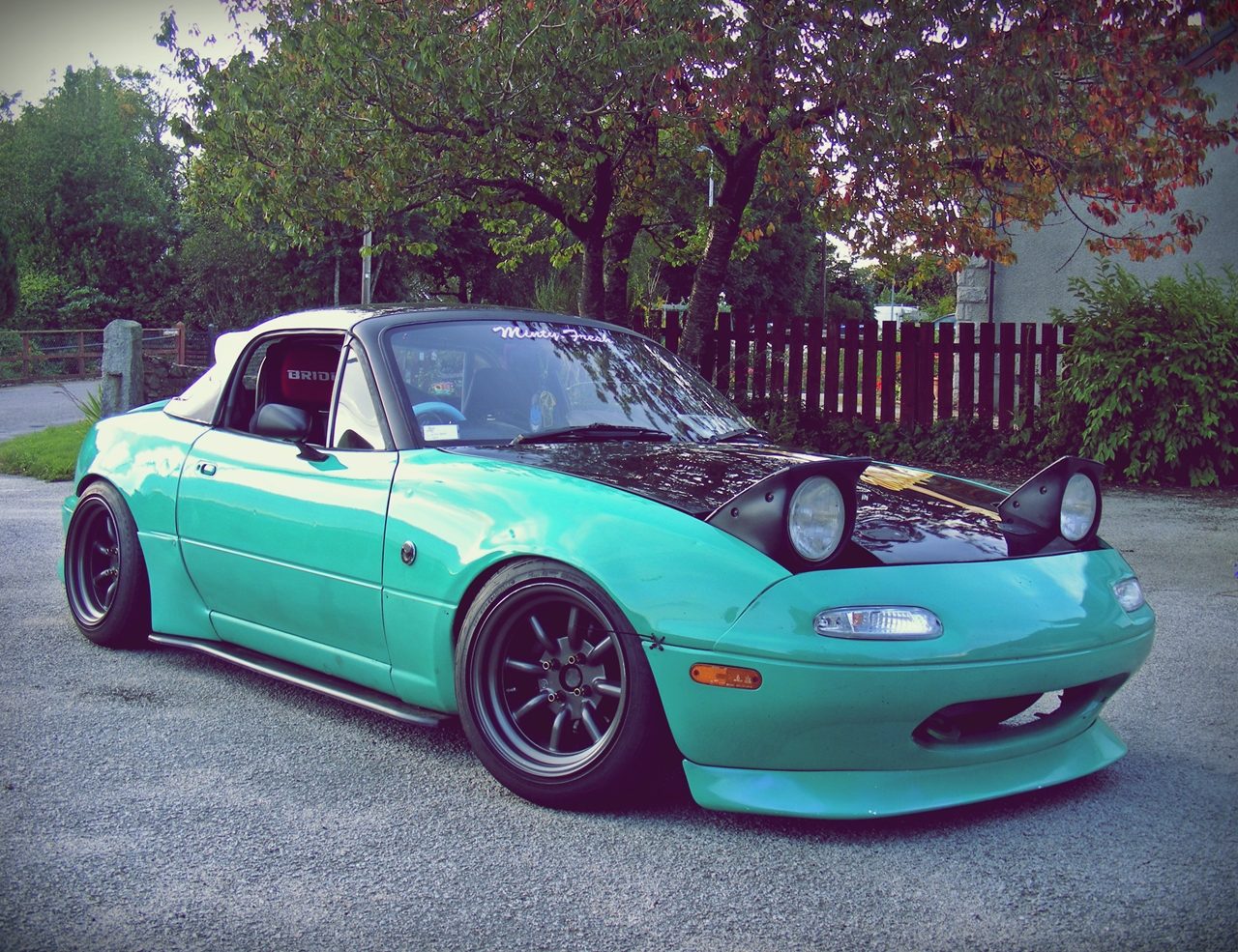minty-fresh-5.jpg