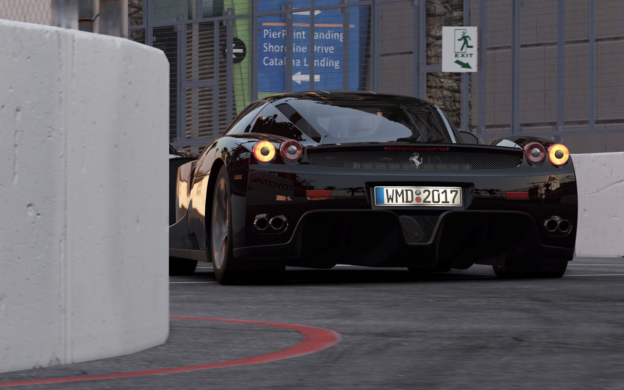 enzo.jpg