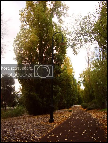 sidewalkandlamppost.jpg