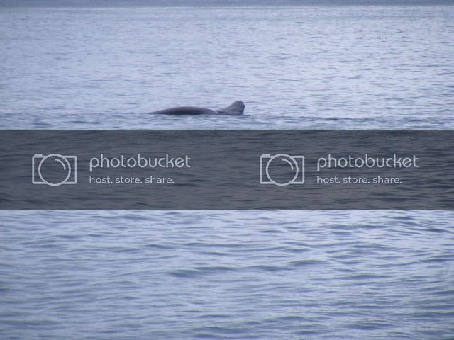 DSCF1712.jpg