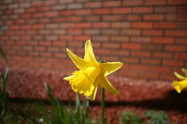 IMG_0432.JPG