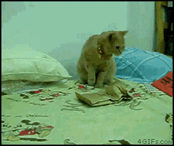 95ofl.gif