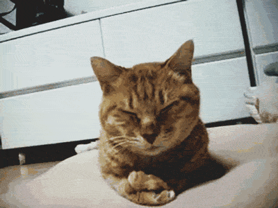 i4O0Ppb.gif
