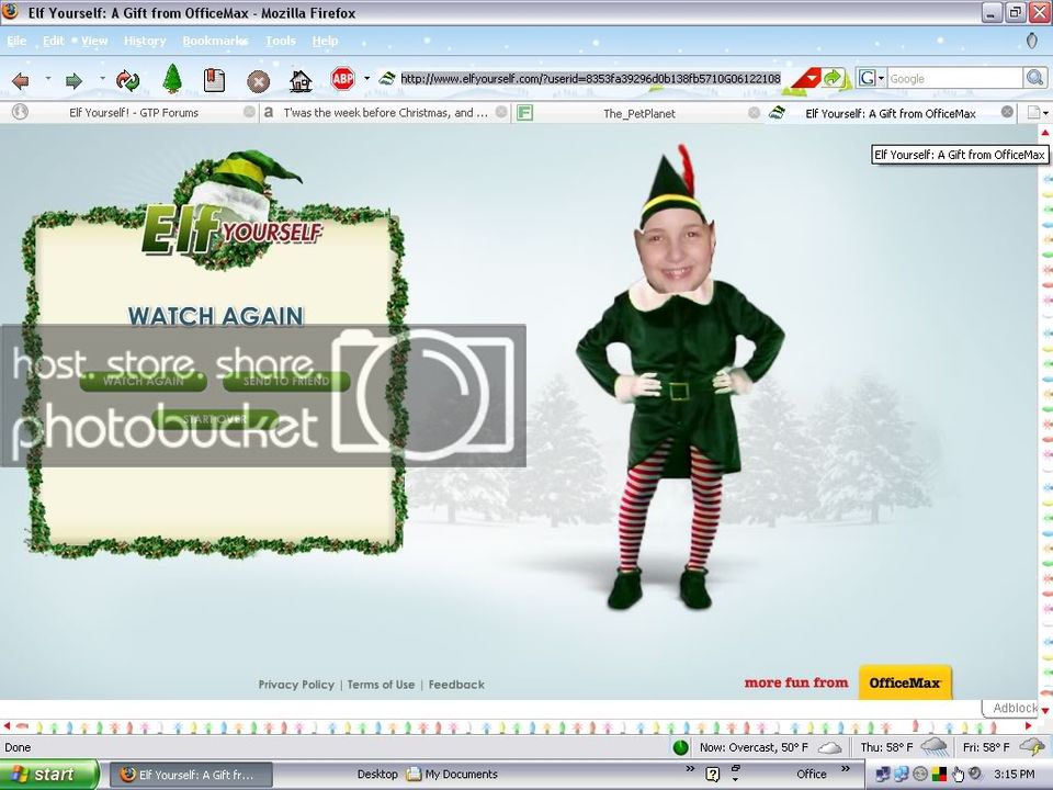 elf.jpg