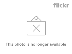 4523829960_fa33f3bd8d_m.jpg