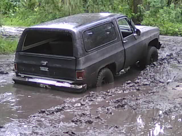 264l3jo.jpg