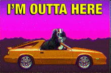 tenor.gif