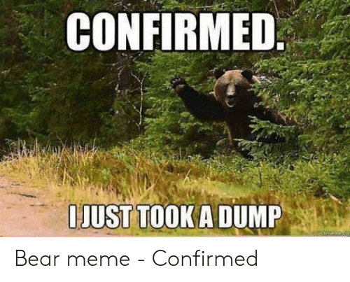 confirmed-just-tooka-dump-bear-meme-confirmed-48876680.png