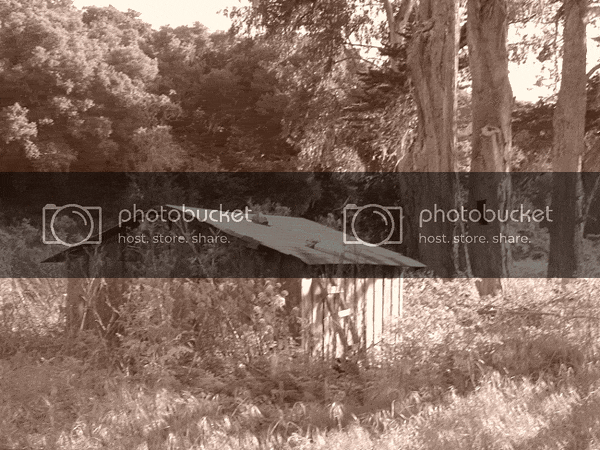 DSC02403.gif
