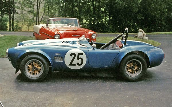 GL_cobra289.jpg