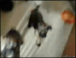 ERbpt.gif