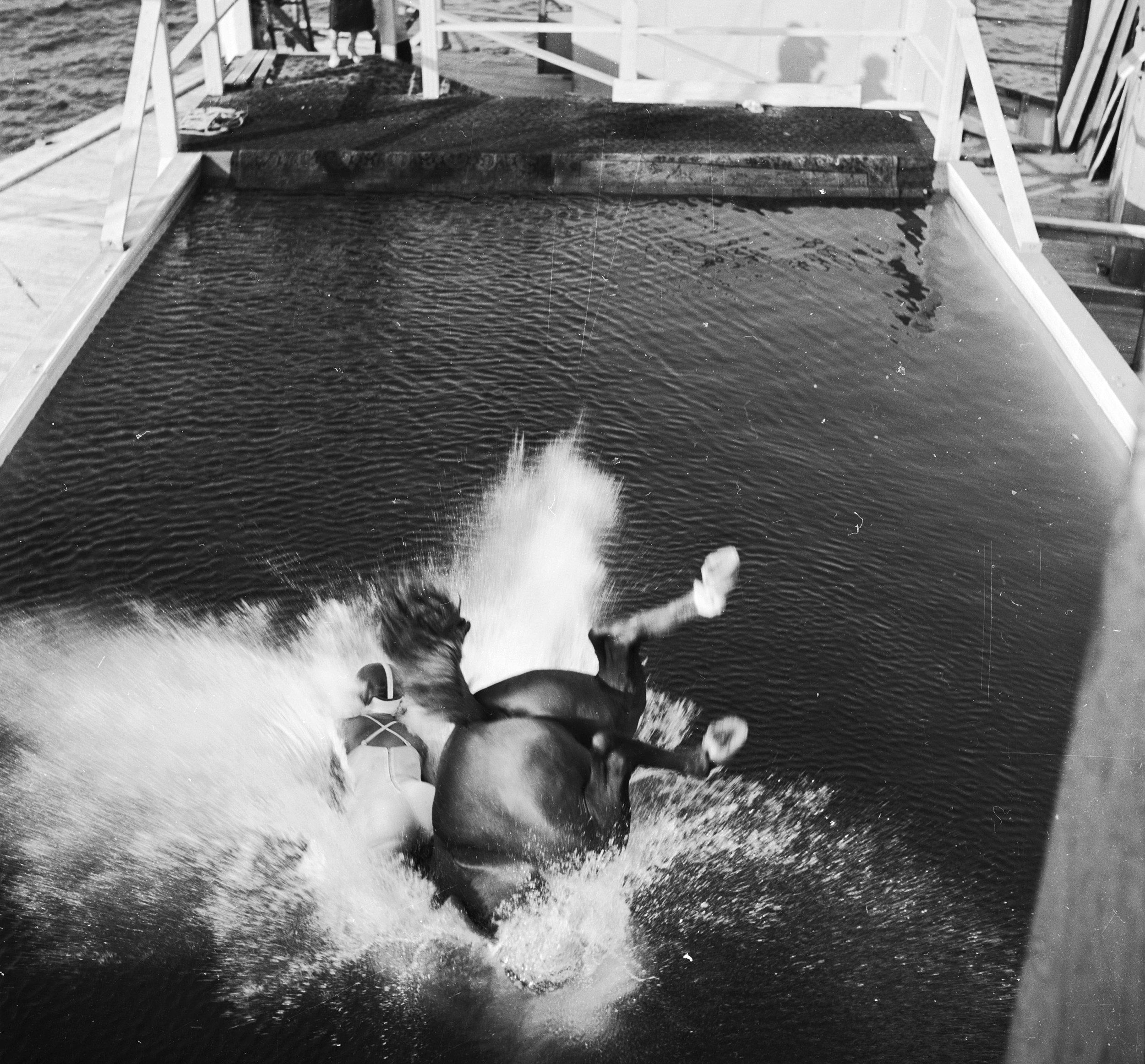 Diving-Horse.jpg