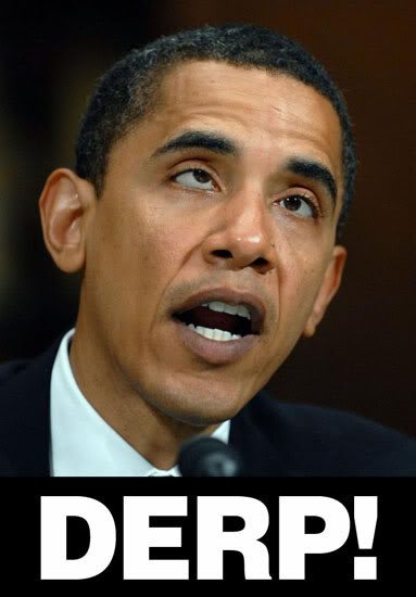 Derp-3.jpg