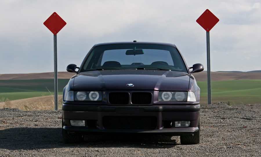 Top-2.jpg