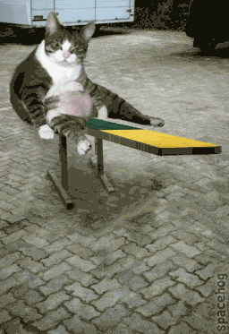 07-daily-gifdump-107.gif