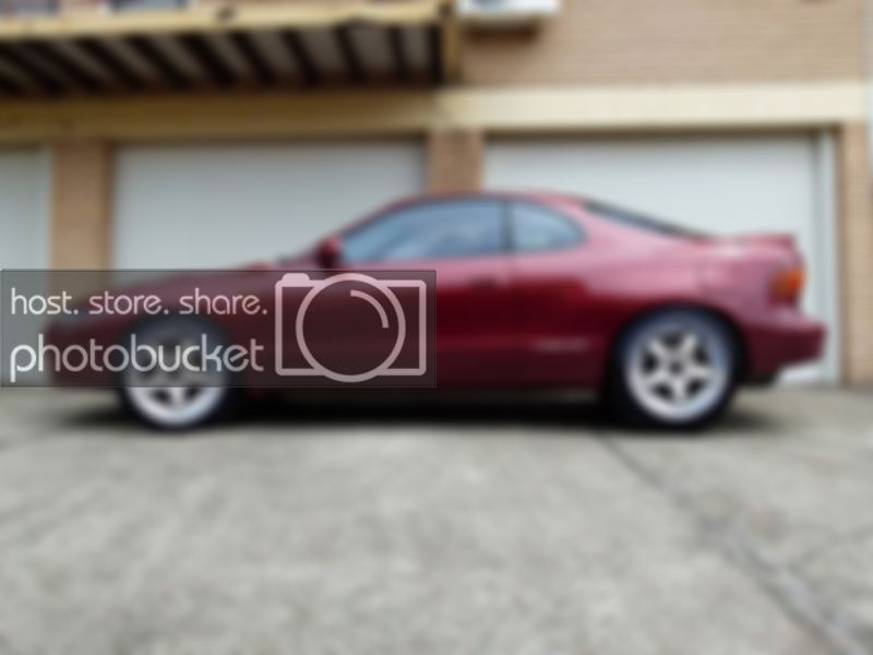 celicassrsp1.jpg