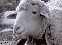 2UaZUaYl.gif