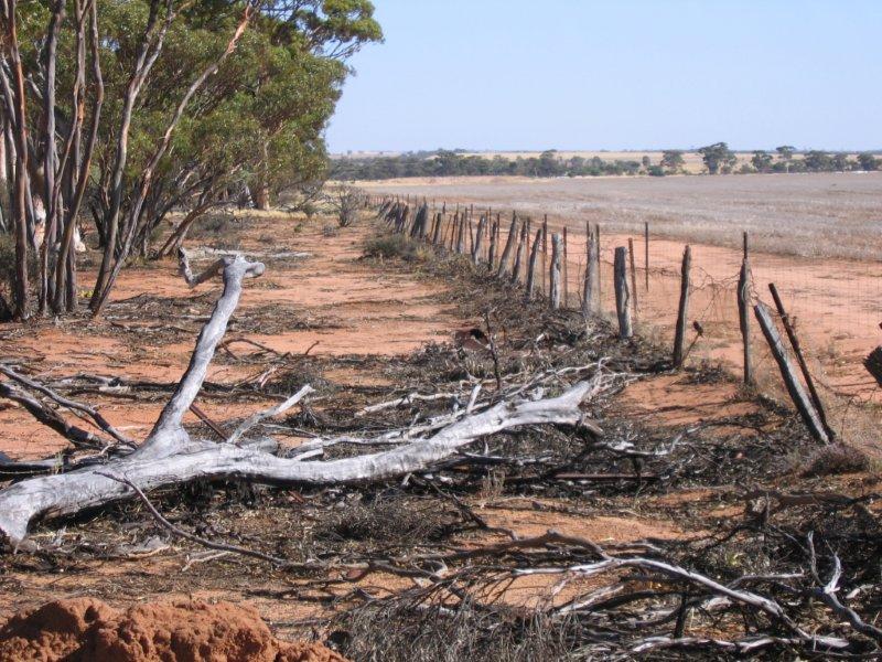 Rabbit-Proof-fence-Burra.jpg