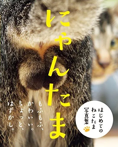 s-l1200.webp
