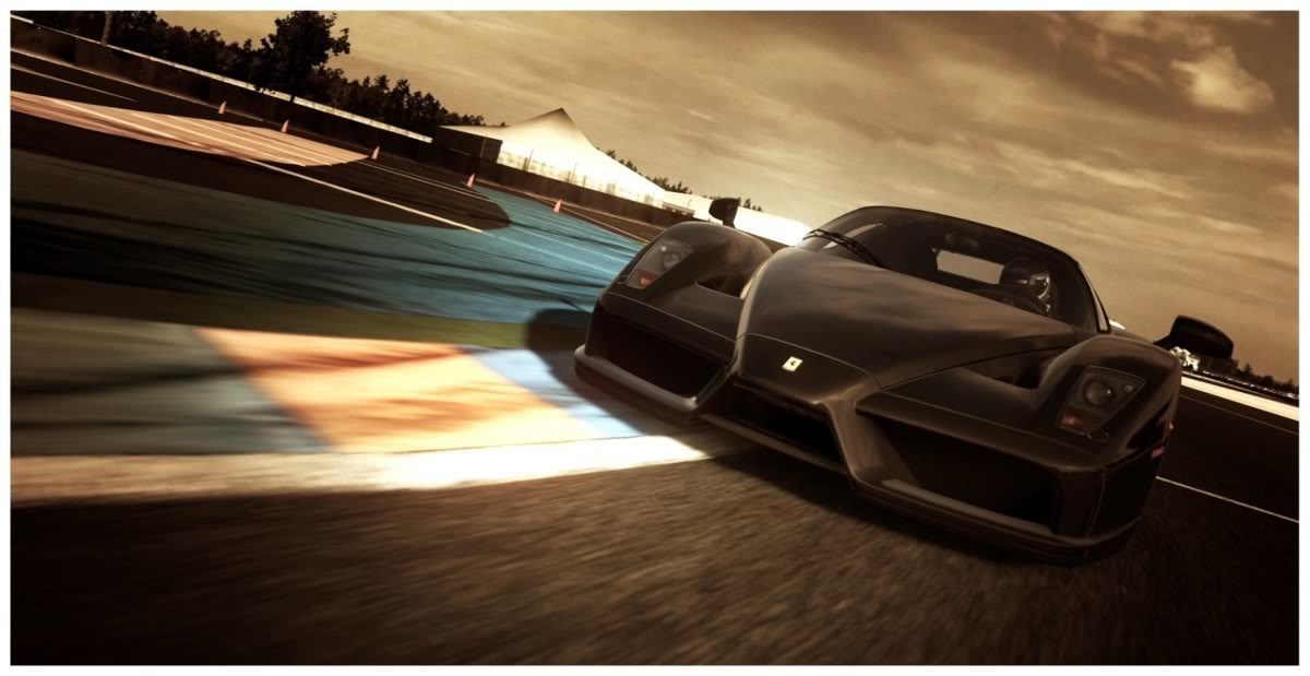 Enzo.jpg