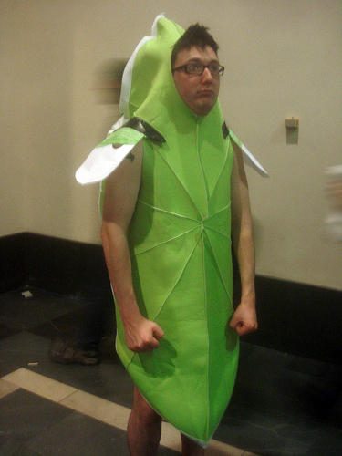 metapod.jpg