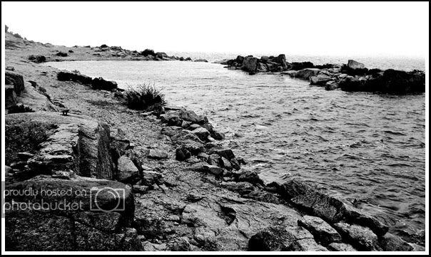 Picture006copy2.jpg