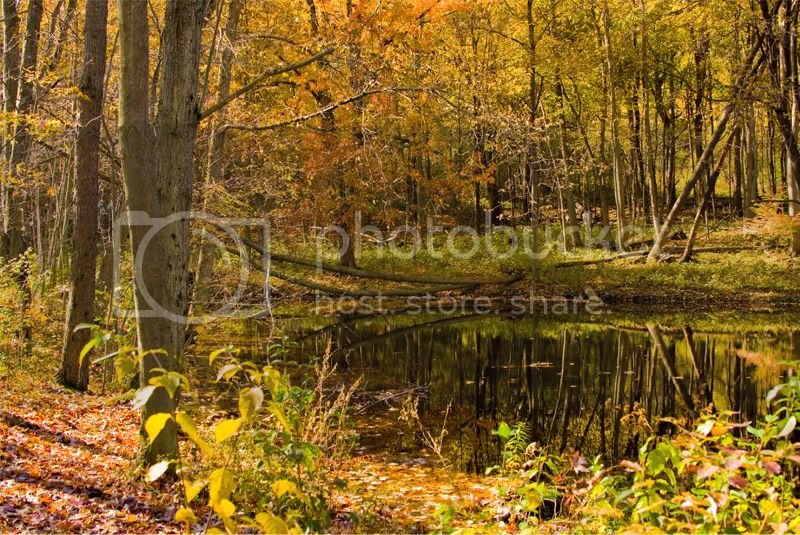 Autumn2.jpg