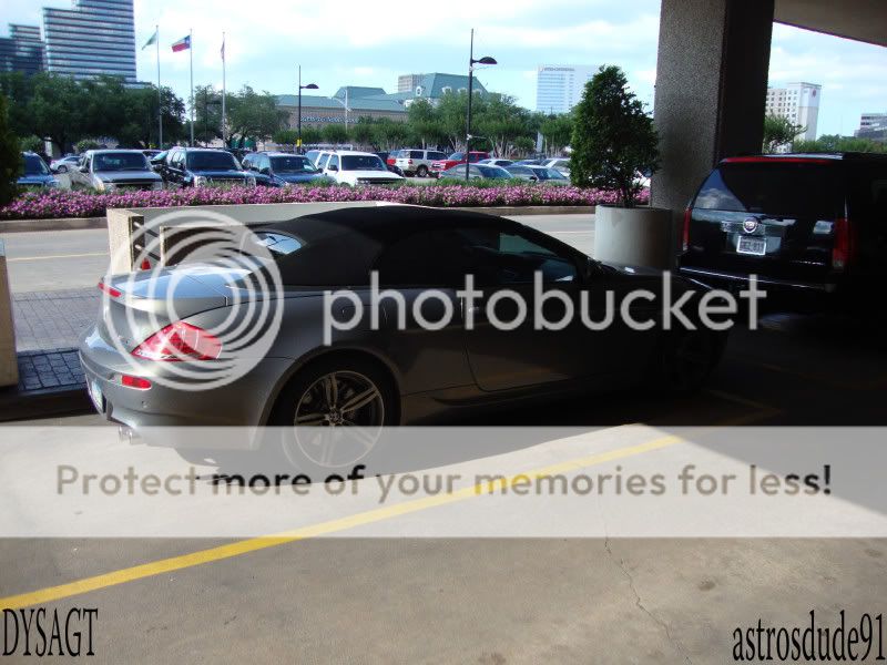 DSC01436gtp.jpg