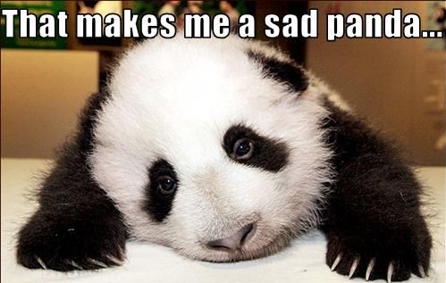 sad-panda.jpg