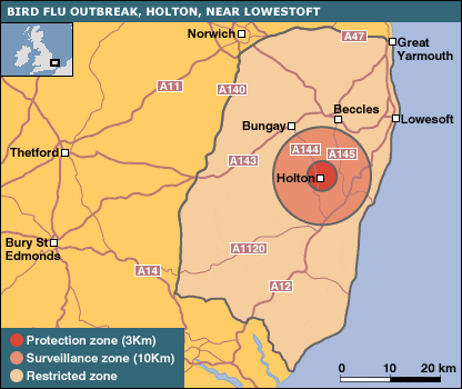 _42531533_b_flu_suffolk_map2416.gif