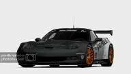 Livery_TeamNederland-1.png