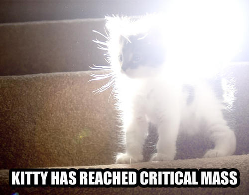 kitty_crit_mass.jpg