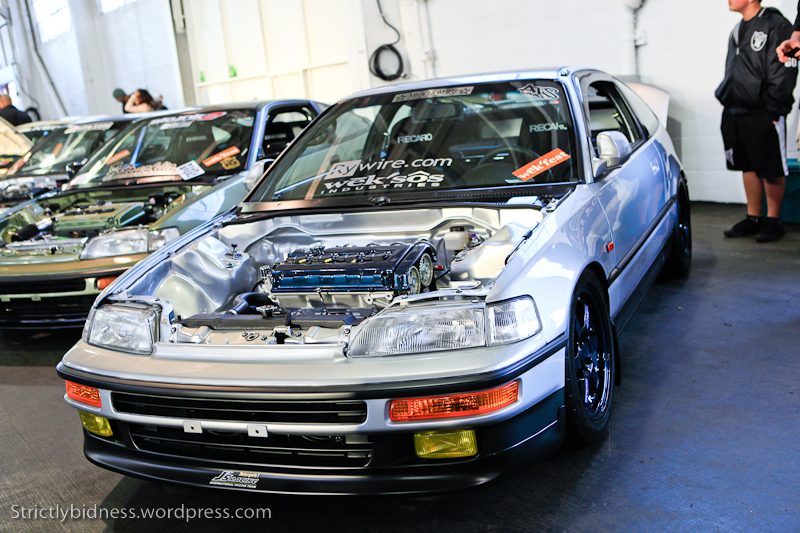 mg_6783.jpg